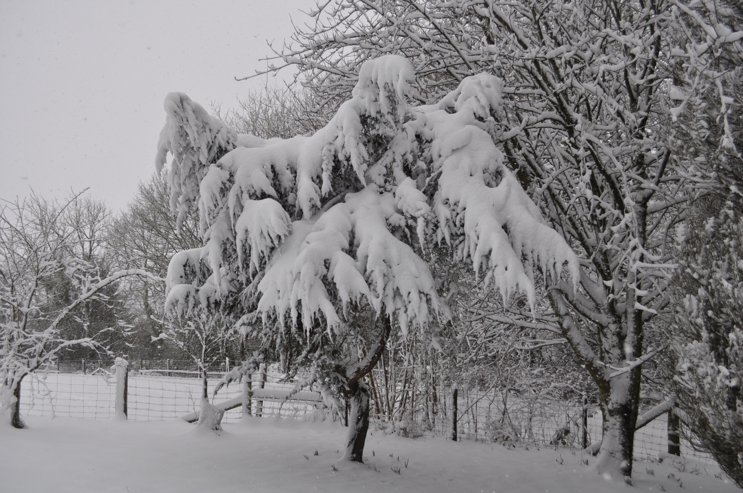 snow in somerset 3